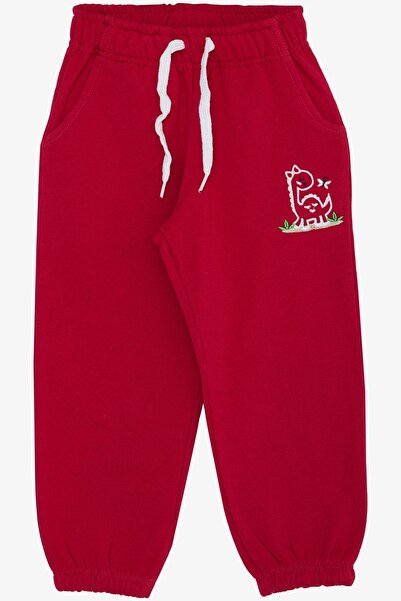 Breeze Kız Çocuk Alt Sevimli Dinozor & Kelebek Nakış Baskılı 1-4 Yaş, Fuşya