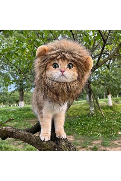 Exelox - Aslan Yelesi Kedi Şapkası-Kostüm