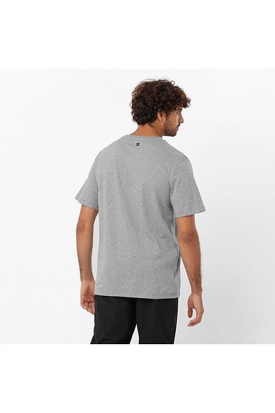 Salomon Runnıng Graphic Ss Tee M Heather Grey Running T-shirt Lc2219000