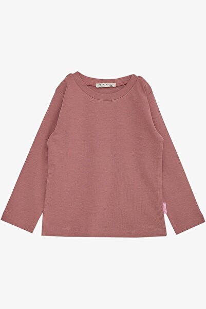 Breeze Kız Çocuk Uzun Kollu Tişört Basic 1-4 Yaş, Gülkurusu