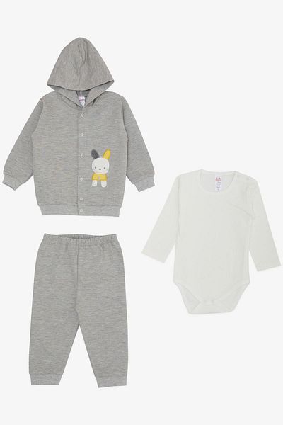 Breeze Baby Boy Bodysuit 3 Piece Set Cute Bunny Embroidered Hooded 4 Months-1 Year Old, Gray Melange