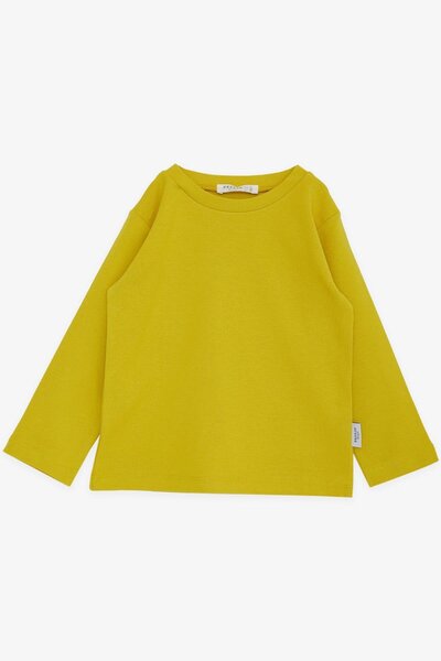 Breeze 1-4 Years Boy Pistachio Green Long Sleeve T-Shirt