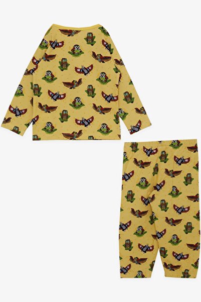 Breeze Girls & Boys Boy's Pajama Set, Cute Owl Patterned, Age 1-4, Yellow