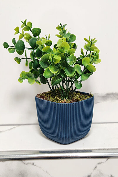 ALSHOP Mini Saksıda Yapay Bitki Şimşir Gerçek Taş Yosunlu Toplam 16 Cm Dekoratif Banyo Mutfak Masa Çiçeği