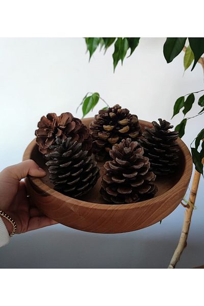 İlya Woodart Decorative Wooden Bowl - Tree, Salad and Fruit Plate