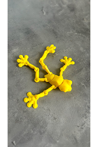To Design Lab Hareketli Kurbağa Oyuncağı