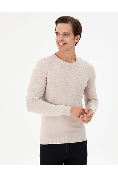 U.S. Polo Assn. Men's Stone Sweater 50292863 -Vr049