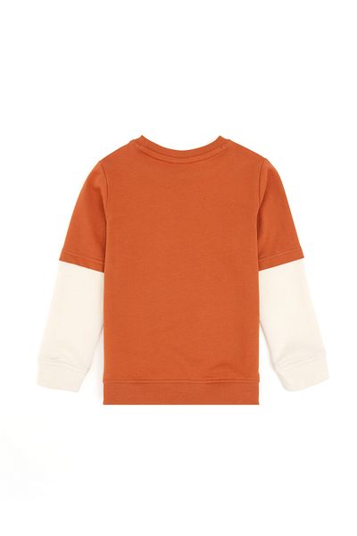 U.S. Polo Assn. Boy Cinnamon Crew Neck Sweatshirt 50293564 -Vr191