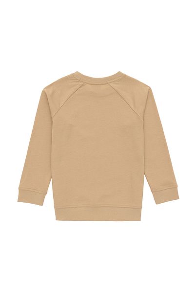 U.S. Polo Assn. Boys' Sand Basic Crew Neck Sweatshirt 50293633 -Vr085