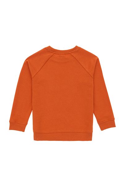 U.S. Polo Assn. Boys' Cinnamon Basic Crew Neck Sweatshirt 50293633 -Vr191