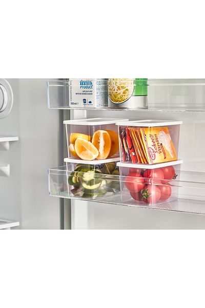 Minty Life 10 قطع من حاوية تخزين صندوق الثلج بغطاء سعة 0.5 لتر، حاوية تخزين للتجميد العميق