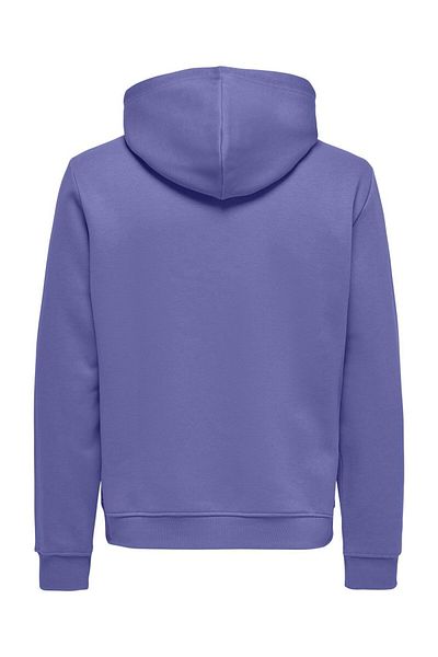 Only & Sons Onsconnor Reg Sweat Hoodie Noos 22029225 Dusted Peri