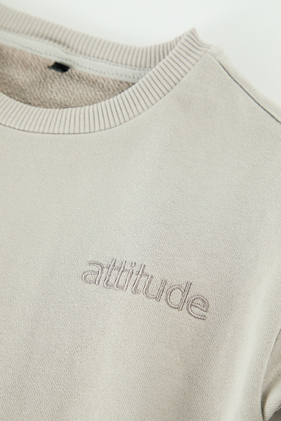 TRENDYOLKIDS Boy's Gray Mini Me Sweatshirt - Dad and Son Printed Tkdaw25Sw00101