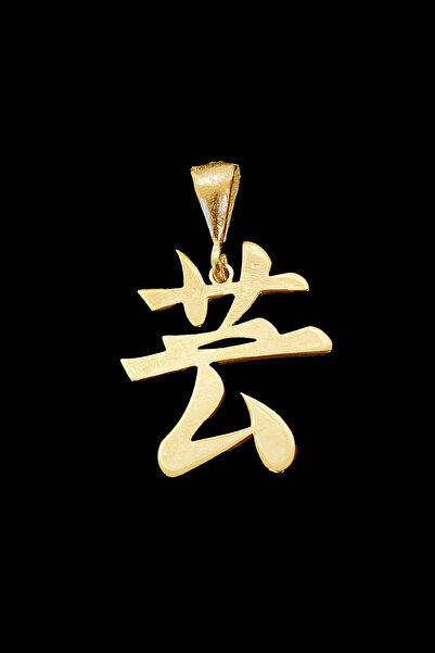 sevy jewelry 'art' Kanji Sanat Kolye Ucu 925 Ayar Gümüş, Gold