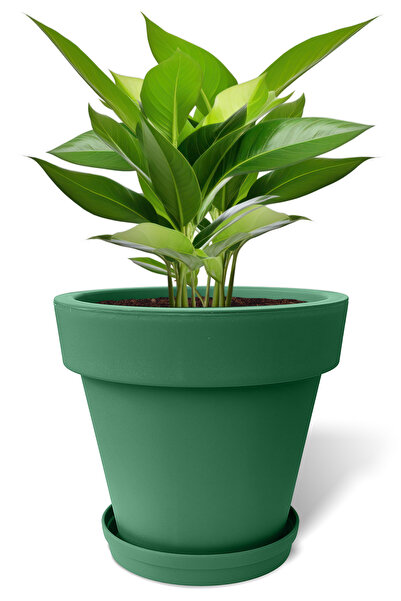 ToXA 50 Litre Yeşil Fulya Saksı Büyük Boy Tabaklı Drenajlı Izgaralı Mat Plast...