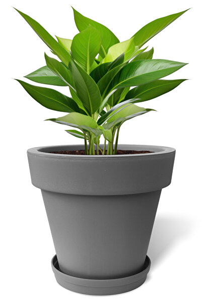 ToXA 25 Litre Antrasit Gri Fulya Saksı Tabaklı Drenajlı Izgaralı Mat Plastik Çiçek Saksısı