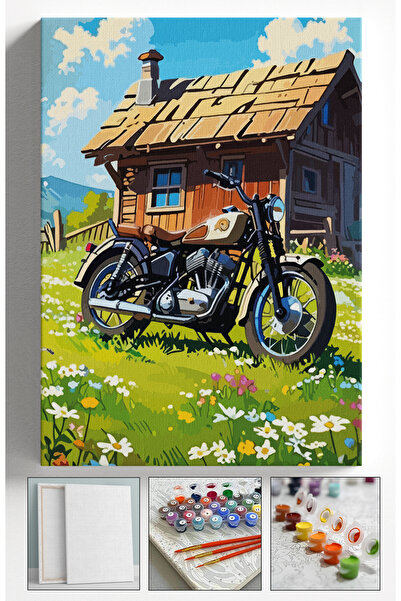 Sulepas Sayılarla Boyama Çerçeveli Hobi Seti Numaralı Tuval Fırça Boya Dahil ...