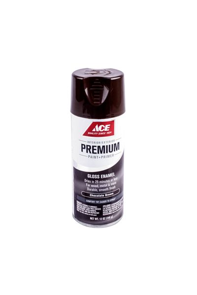 ACE Premium Gloss Enamel Spray Paint