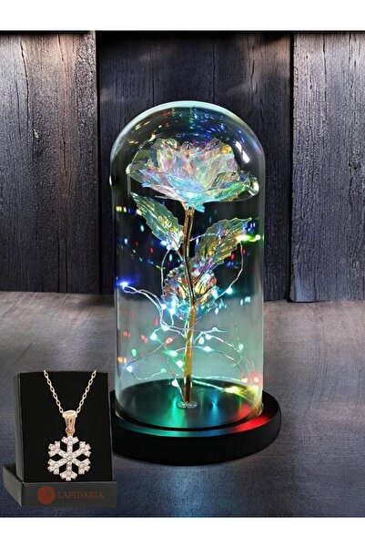 Lapidaria Fanus Içerisinde Dekoratif RGB Peri Led Işıklı Solmayan Sonsuzluk G...