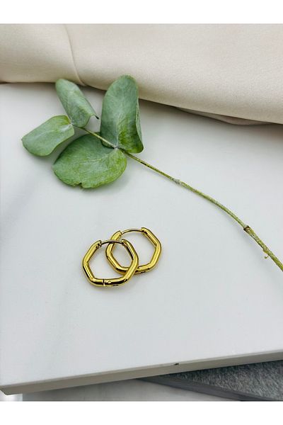Lumiera 6 Color Changeless Gold Hoop Steel Earrings