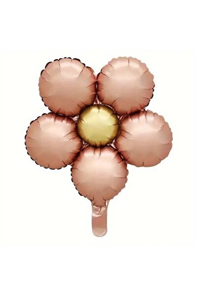 Bkmc بالون ريترو كولور ديزي فويل