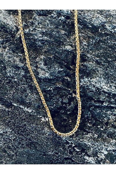 Medusa Accessories Gold Color Box Chain Steel Necklace