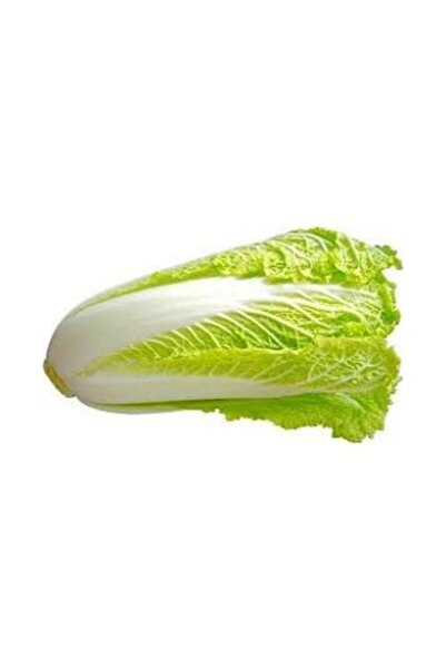 Köy Tohumları 100 Adet Tohum Organik Uzak Doğu Çin Lahana Tohumu Kaliteli Has...