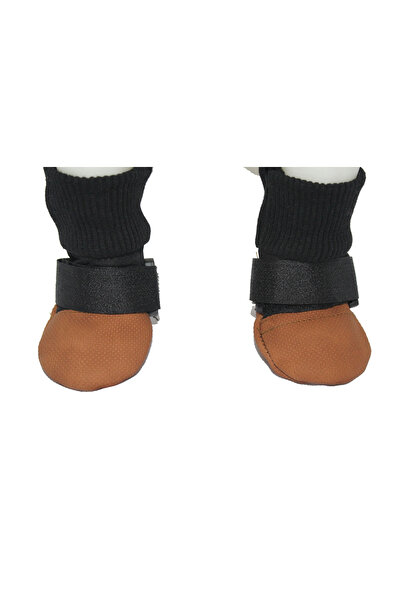 petite pati Kahverengi köpek ayakkabısı