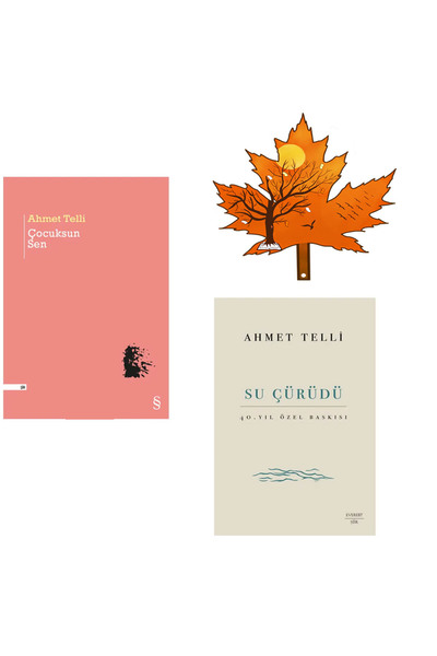 Everest Yayınları Ahmet Telli - çocuksun sen - su çürüdü - 2 kitap yırtılmaz ...