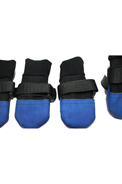 petite pati Blue Dog Shoes