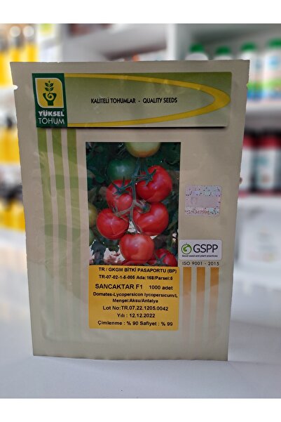 yüksel tohum Sancaktar F1 Hibrid Domates Tohumu