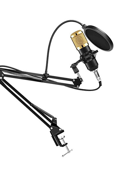 TechnoStation Profesyonel Standlı Yayıncı Oyuncu Mikrofon Seti Gürültü Engelleme Özellikli Gamer Mikrofon Ekipman