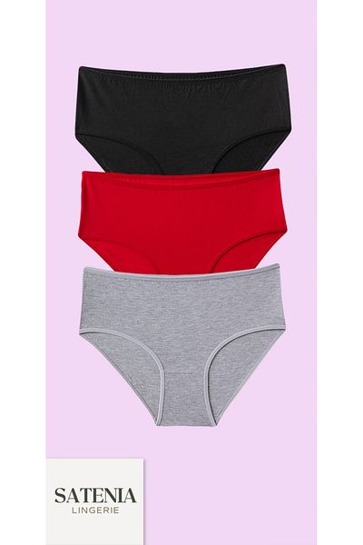 SATENIA LINGERIE Chiloți de zi cu zi din bumbac Bato cu talie înaltă pentru femei, pachet de 3 (MĂRIMI XL-2XL-3XL)