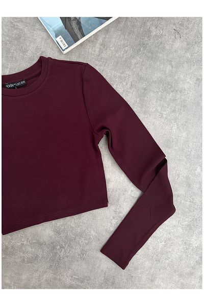 ESRAHELVACI Long Sleeve Basic Crop Top