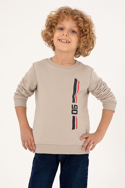 U.S. Polo Assn. Boy's Stone Crew Neck Sweatshirt 50293546 -Vr049