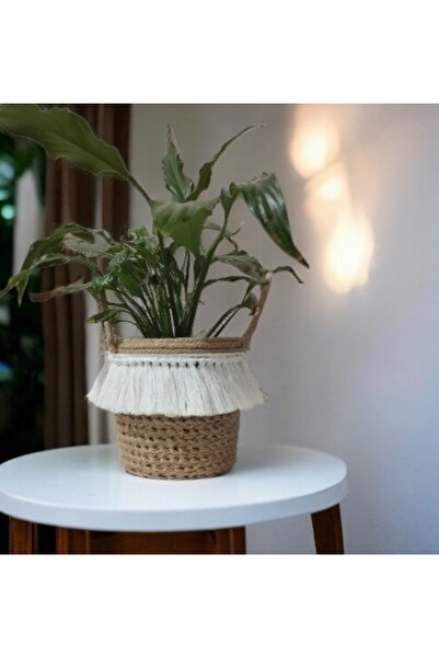 bayram taşcıoğlu home desing 18*16 Dikilebilir Saksı, Saksılık,Saksı Giydirme...