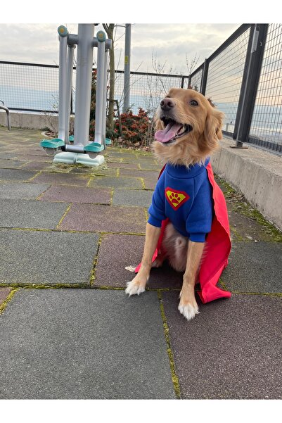 Barneystore Kedi Köpek Kostüm