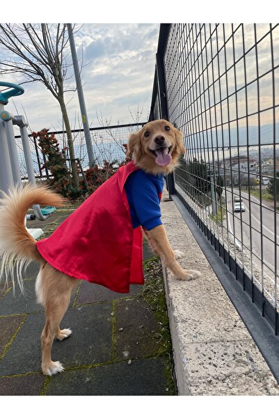 Barneystore Kedi Köpek Kostüm