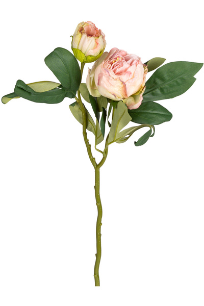 Herdekora Yapay Çiçek Şakayık Kurumuş Efektli Pembe-Krem 50 Cm.