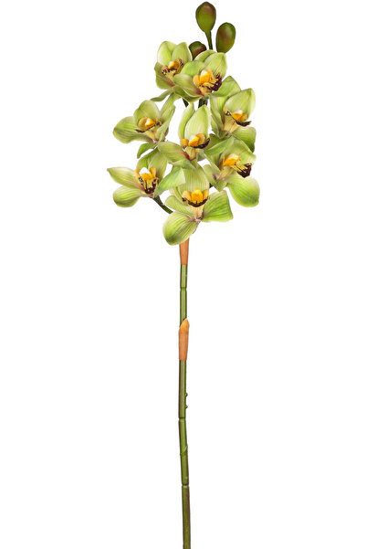 Herdekora Yapay Orkide Gerçek Dokulu Yeşil 75 Cm.