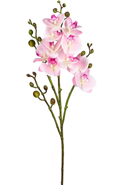 Herdekora Yapay Orkide Gerçek Dokulu Pembe 80 Cm.