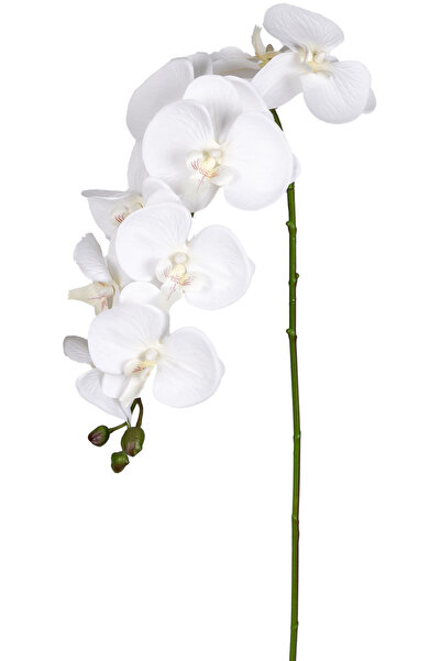 Herdekora Yapay Orkide Beyaz 95 Cm.