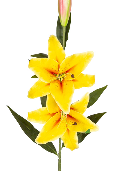 Herdekora Yapay Çiçek Lilyum Sarı 90 Cm.