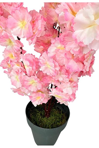 Nettenevime Yapay Ağaç Bahardalı Ağacı Pembe Japon Kiraz Çiçeği Sakura Çiçeği 70cm Siyah Plastik Saksılı