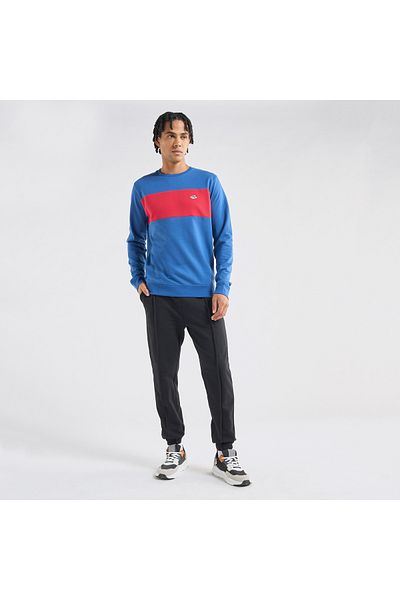 FAV Panelled Sweatshirt with Long Sleeves and Crew Neck