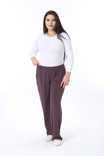 Şans Large Size Lycra Plum Jersey Trousers - Elastic Waist, Side Pocket 65N38465