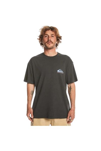Quiksilver Ανδρικό γκρι μπλουζάκι Take Us Back Logo Ss Eqyzt07654-12814