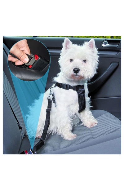 Ankaflex Kedi Ve Köpek Araç Emniyet Kemeri Tasması Yavru Evcil Hayvan Tasması...