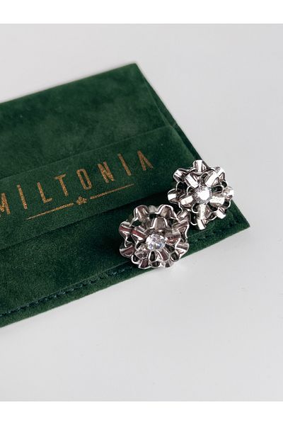Miltonia Silver Steel Earrings