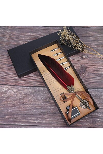 racoonco Antik Kalem Seti Benzersiz Tüy Kalem Seti Paslanmaz Çelik Kalem Ucu ...